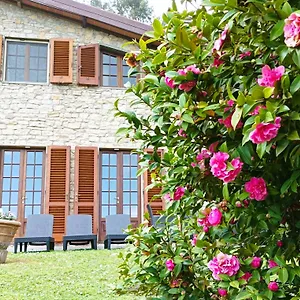 https://villa-camelia-tuscany-95-sqm-apartment-in-a-beautiful.it-tuscanyhotel.com